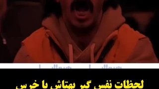 مبارزه بهتاش با خرس در پایتخت 7!