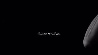 از این گریه چه میدونی؟!