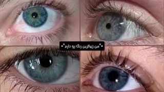 دارین راجب چی صحبت میکنین؟!