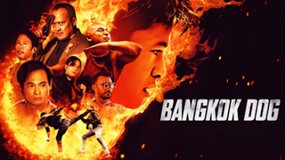 دانلود فیلم اکشن سگ بانکوک Bangkok Dog 2024 در سایت upko.ir