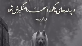 امام علی علیه السلام