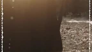 استاد رائفی پور