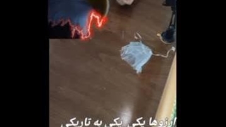 چو ایران نباشد. تن من مباد