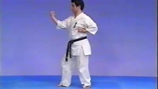 Kyokushin Karate Encyclopedia 03