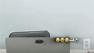 از واکنشاشون شجاع بودن میباره :خنده: یاد برنامه‌ STRESSOR THINGS شون افتادم:خنده: