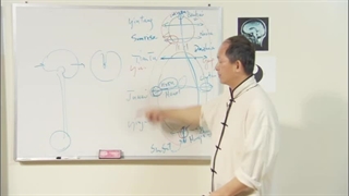 Saber Fundamenta Training Title 12