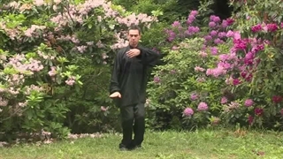 Saber Fundamenta Training Title 14