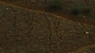 انجامش بده...