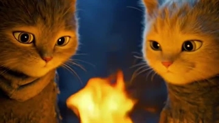 تیزر تبلیغاتی تن ماهی