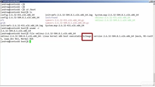 Linux Kernel and System Startup (LPIC- 2) - 02  Linux Kernel Basics - 03 Viewing the Kernel and Initial Ram Disks