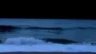 مجبورم یکم دیر به دیر بیام و خیلی ویدیو ها رو نمیبینم... اگه چیز مهمی بود کامنت بدین ببینم... +کپ