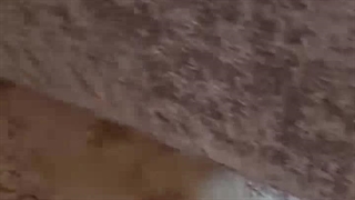 مبل تختخواب شو ایپک