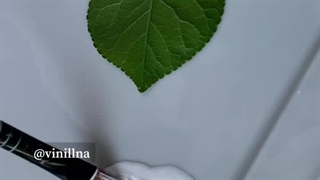 ساخت کارت پستال فقط با یک عدد برگ