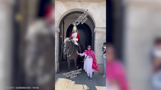 افرادی که با گارد سلطنتی بریتانیا درگیر ، ولی پشیمان شدند!!