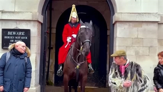 افرادی که با گارد سلطنتی بریتانیا درگیر و فوراً پشیمان شدند!