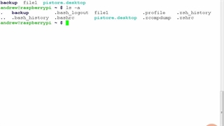 Pluralsight Linux Command Line Interface CLI Fundamentals - 02_08-Using Bash History Functions