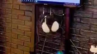 درمان مشکل گرفتگی عضلات دست خانم بازیگر شیوا خسرومهر