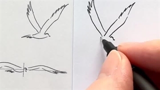 نقاشی قدم به قدم پرنده