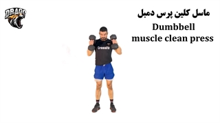 آموزش حرکت ماسل کلین پرس دمبل