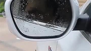 خرید آنلاین اینترنتی پستی بر چسب نانو آب گریز آینه بغل خودرو مدل بیضی بسته 2 عددی