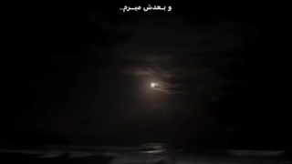 وایبش>>>> | No One Noticed