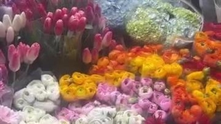 روز عزیزای دل بابا ناموس داداشا هَووی مامانا دخی منگولا جینگول مینگولا روز دختر خوشگلا مبارک ^_^