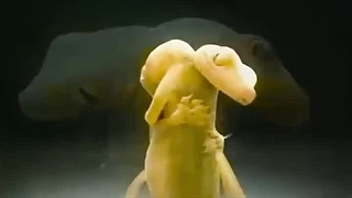 غیر قابل پیش‌بینی ترین تبلیغ جهان