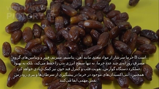 آشنایی با انواع خرما