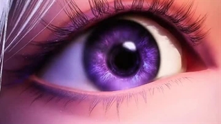 هائوچن و سائر... کپ