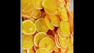 دستگاه میوه خشک کن بستنی خشک خانگی و صنعتی 09930275630-09198190989