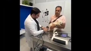 دامپزشکی هیوا