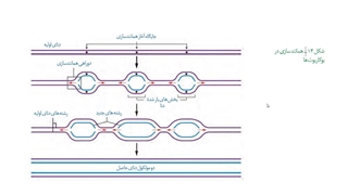 تست زنی  رمزگردانی مشاوره کنکور استاد غیاثی 09149285452