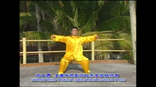 فرم آخوندک به سبک تای چی چوان