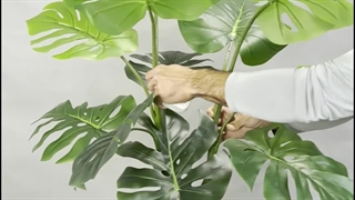 خرید درختچه مصنوعی برگ انجیری ۱.۸ متری 15 برگ | سبز تیره و روشن با کیفیت لمسی 