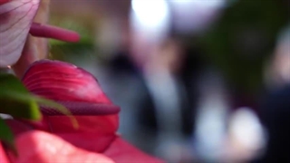 حضور هلدینگ آرون صنعت شیمی در نمایشگاه بین المللی