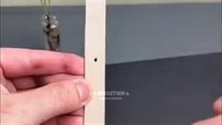 طنز-ایده :} لایک و فالو فراموش نشه کیوتم