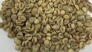 لوازم باریستا موونا