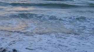 پارت بیستم و چهارم رمان THE EDICTION (اعتیاد)