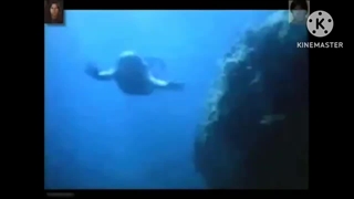 REAL MERMAID FOUND RELOADED Low Slowed