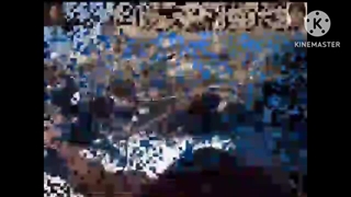 REAL MERMAID FOUND RELOADED REVERSED