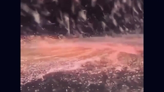 قلبم وقتی میبینمش (: پشـمکــ✯๛◡̈⃝