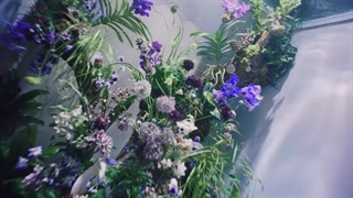 موزیک ویدیو گروه میو آهنگ Drop top