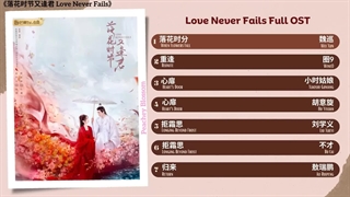آهنگ و موسیقی سریال چینی عشق هیچ وقت شکست نمیخوره (Love Never Fails OST)