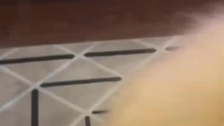 خرید آنلاین اینترنتی پستی برس بخار سگ و گربه مدل سیلیکونی