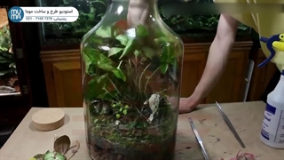 "آموزش لایه‌های خاک تراریوم: راهنمای کامل برای ساخت تراریوم سالم"