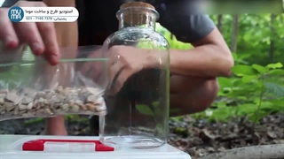 "آموزش ساخت و نگهداری تراریوم: راهنمای کامل برای مبتدیان"