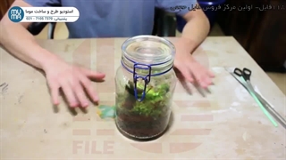 "وسایل موردنیاز کاشت تراریوم: راهنمای کامل برای مبتدیان"