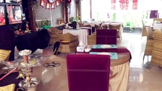 کافه رستوران آریانا رشت