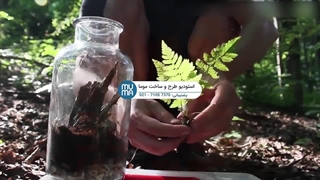 "ساخت تراریوم برای خانه آپارتمانی: راهنمای کامل و آسان"