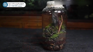 "آموزش ساخت تراریوم شیک محفظه بسته | قدم به قدم با نکات حرفه‌ای"